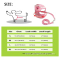Cute Dog Harness Leashes Walking Dog Chest Harness